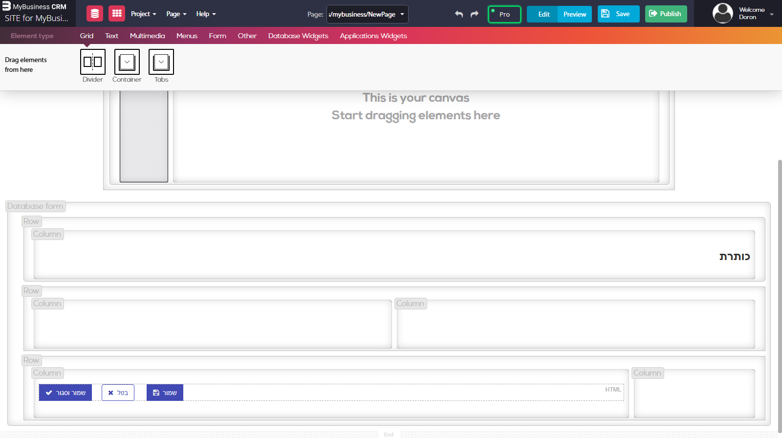 דף טופס ריק בעורך הדפים — Database form עם שורת כותרת, שורה עם שתי עמודות ריקות וכפתורי שמירה, עדיין בלי שדות