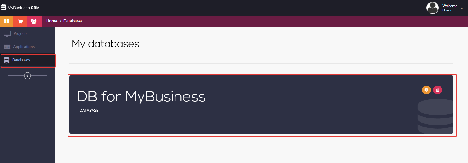 סביבת הפיתוח — התפריט Databases והכרטיס DB for MyBusiness מסומנים