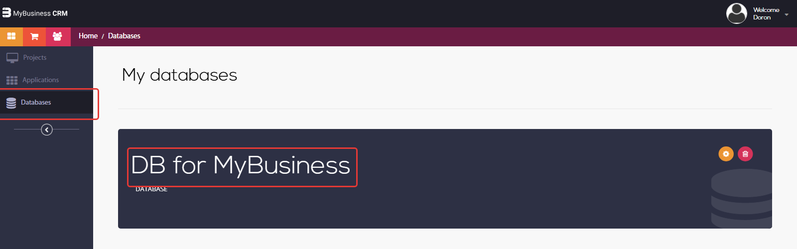 סביבת הפיתוח: Databases בתפריט הצד ובסיס הנתונים DB for MyBusiness מסומנים