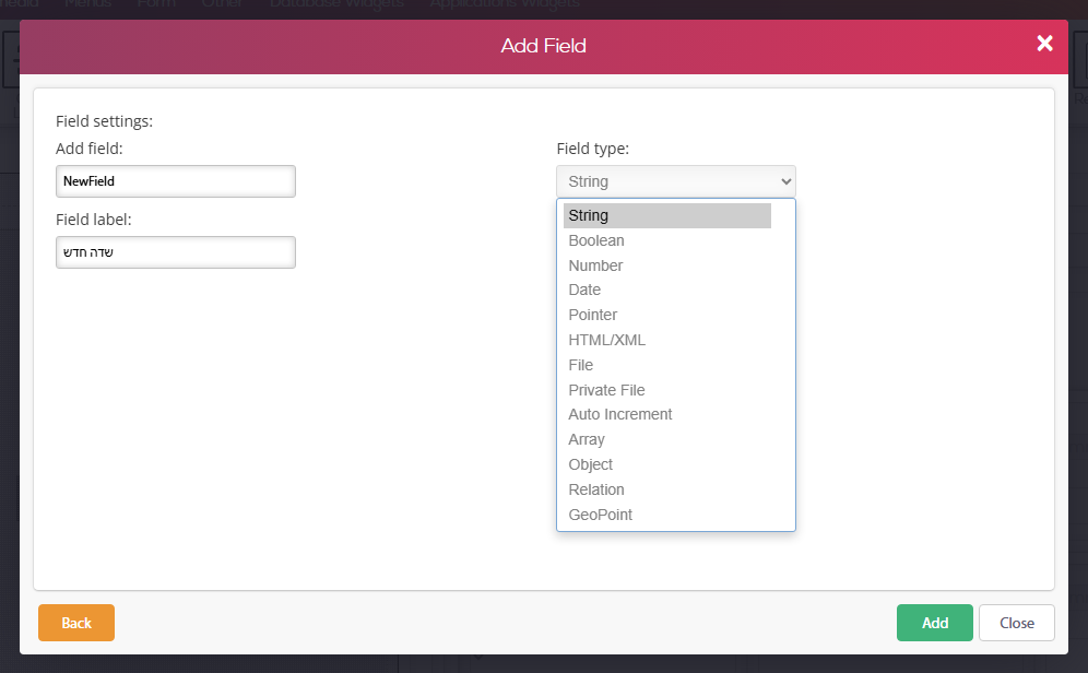 חלון Add Field — שם השדה באנגלית (Add field), תווית בעברית (Field label) ורשימת סוגי השדות (Field type) פתוחה